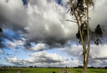 [网球]湖州国际红土网球中心正式启用.