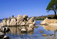 曝凯恩重返英超加盟利物浦,违约金5400万镑,去拜仁只为冠军梦?.